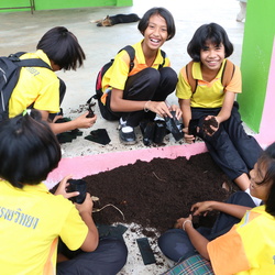 04ปลูกดอกดาวเรือง[14-06-2560]