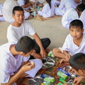 IMG 5674