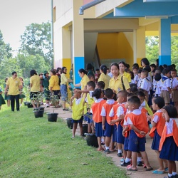 07กิจกรรมปลูกต้นรวงผึ้ง[19-06-2562]