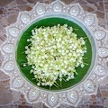 IMG 4011